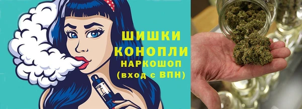 винт Горно-Алтайск