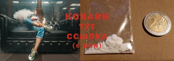 соль ск Горняк