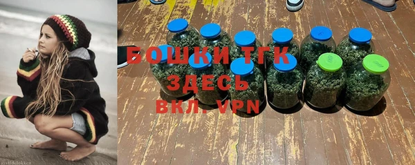 прущие грибы Волоколамск