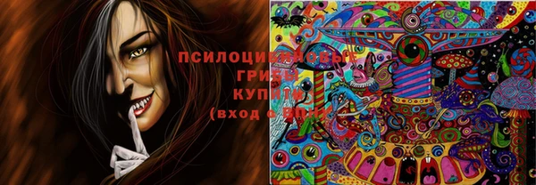 герыч Вяземский