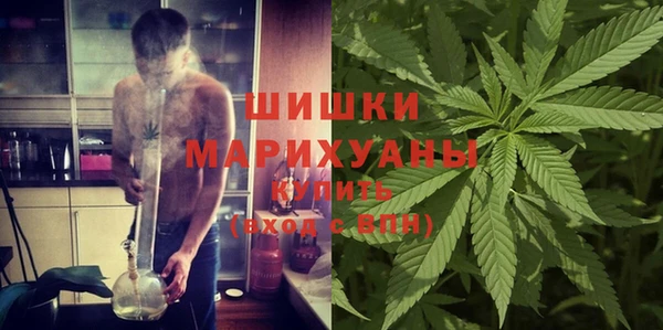 винт Горно-Алтайск
