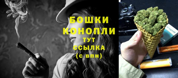 винт Горно-Алтайск