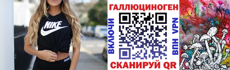 Галлюциногенные грибы GOLDEN TEACHER  как найти закладки  Енисейск 